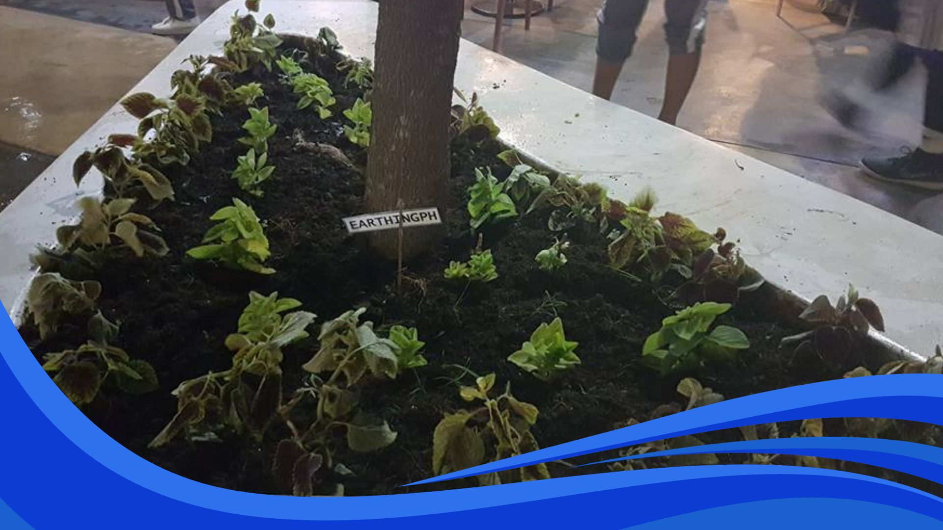 Giving Back to Nature: From Eco-Adventure to Community Action