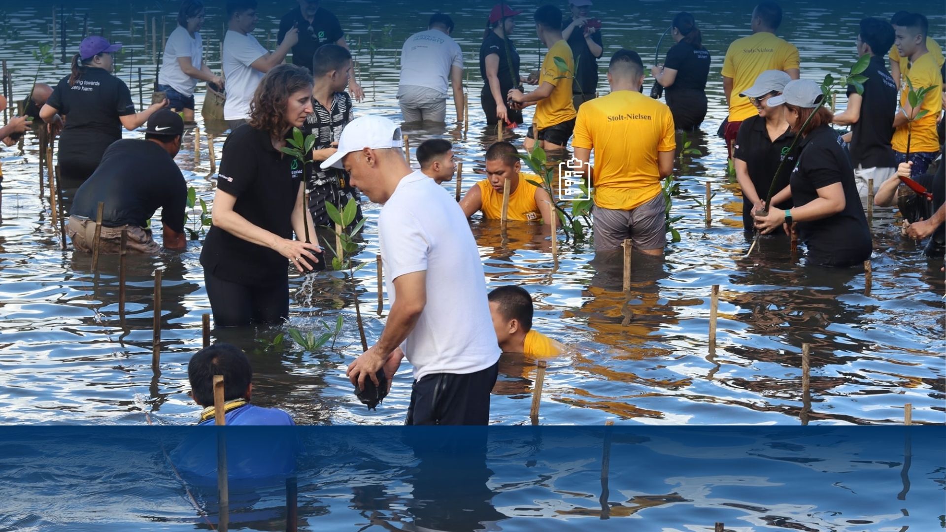 Strengthening Coastal Resilience Through Mangrove Restoration Partnerships