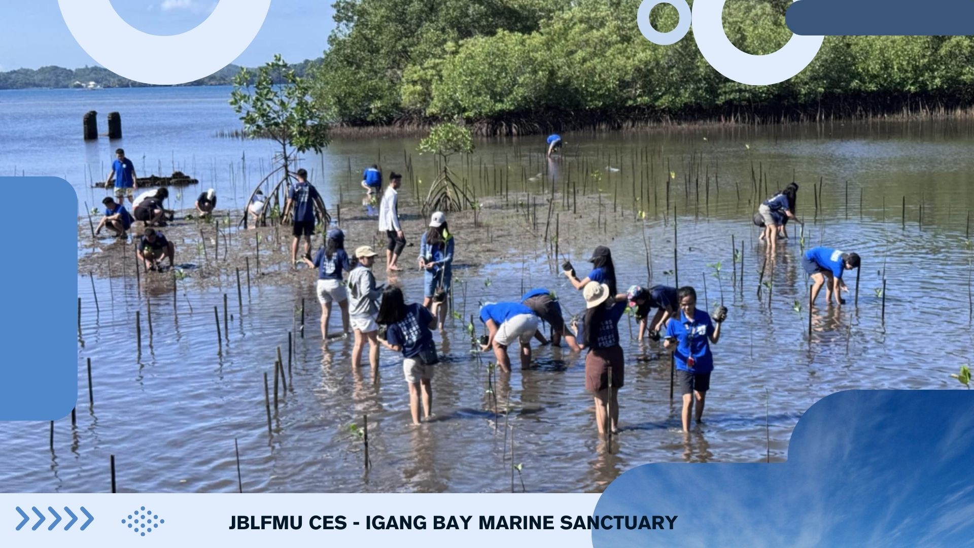 JBLFMU Customs Students Plant Mangroves for Coastal Conservation