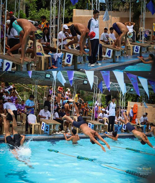 JBLFMU Dolphins wrap up 4th Memorial Swimfest